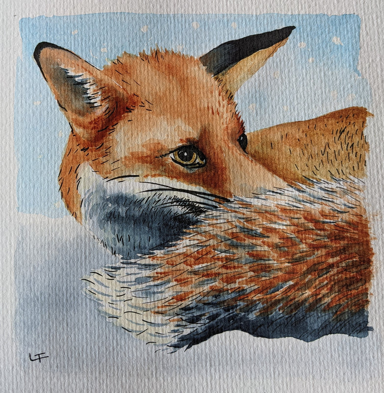 Fox illustration animal portrait art artist and illustrator Laurie Trenfield shropshire cuan wildlife rescue