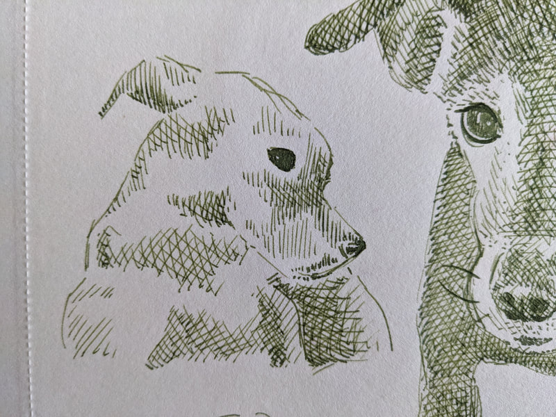 Patterdale terrier dog artwork animal portrait sketch artist and illustrator Laurie Trenfield shrewsbury