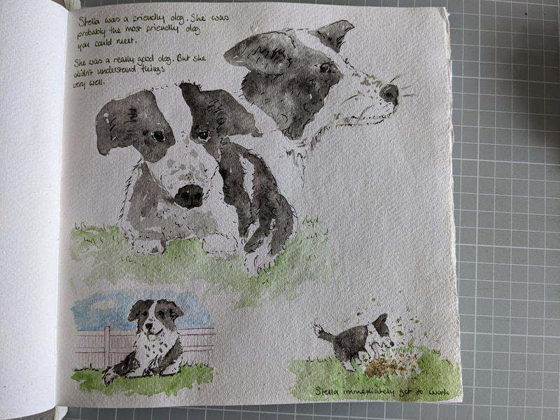 Dog story children's picture book illustration artist and illustrator Laurie Trenfield Shrewsbury shropshire