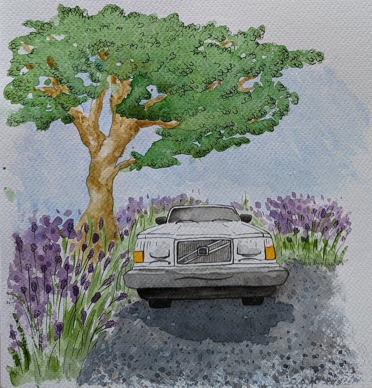 Car character children's story illustration picturebook lavender artist and illustrator Laurie Trenfield shropshire
