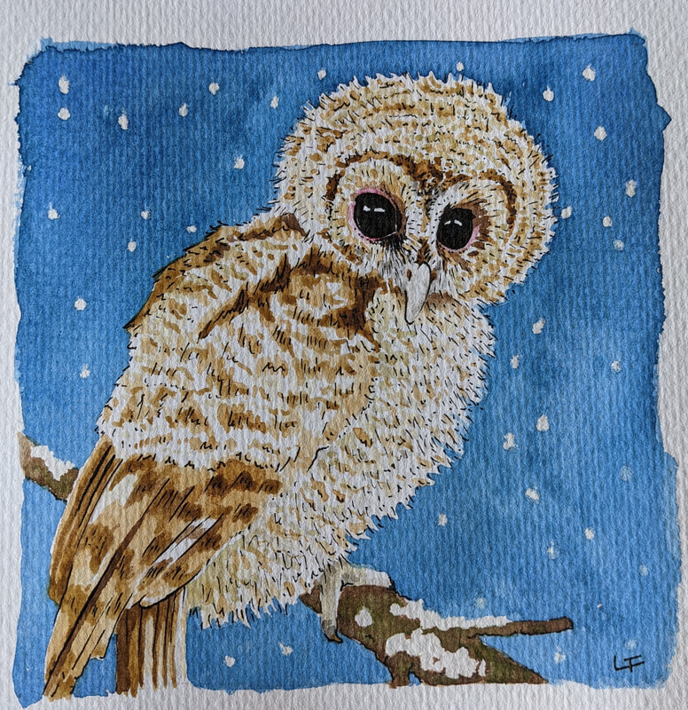Watercolour artwork illustration owl bird artist Laurie Trenfield cuan wildlife rescue shropshire